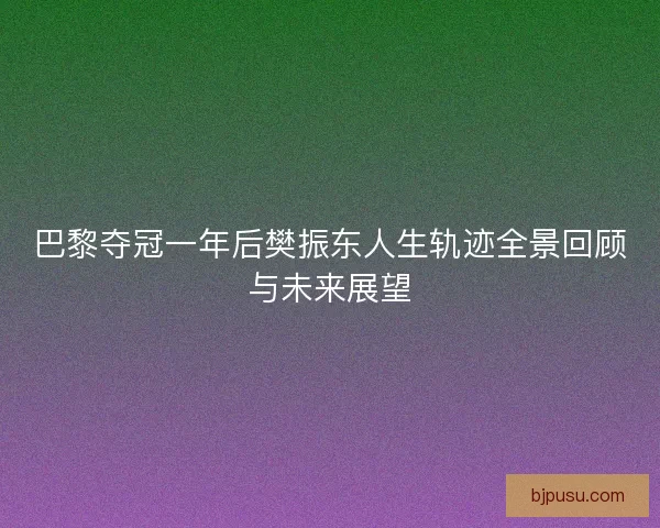 巴黎夺冠一年后樊振东人生轨迹全景回顾与未来展望